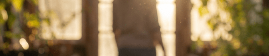 A small seedling sprouts in a pot within a sunny greenhouse featuring a person's silhouette.